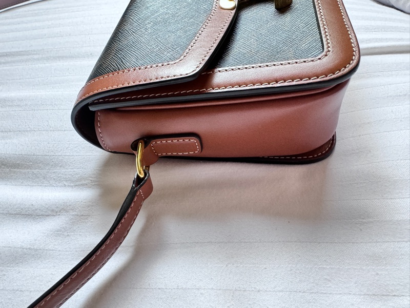 TEEN TRIOMPHE標誌印花牛皮革手袋 lisa同款手袋-3