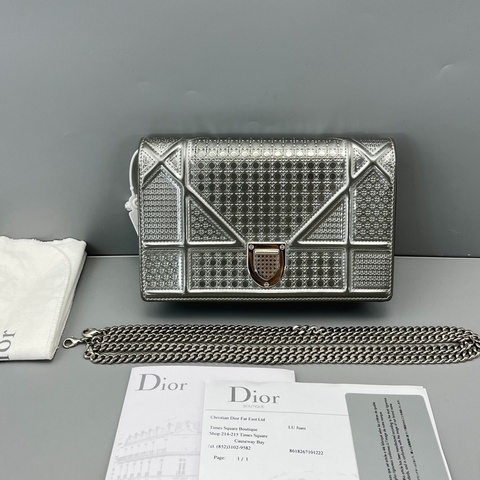 Dior 盾牌包 WOC 銀色