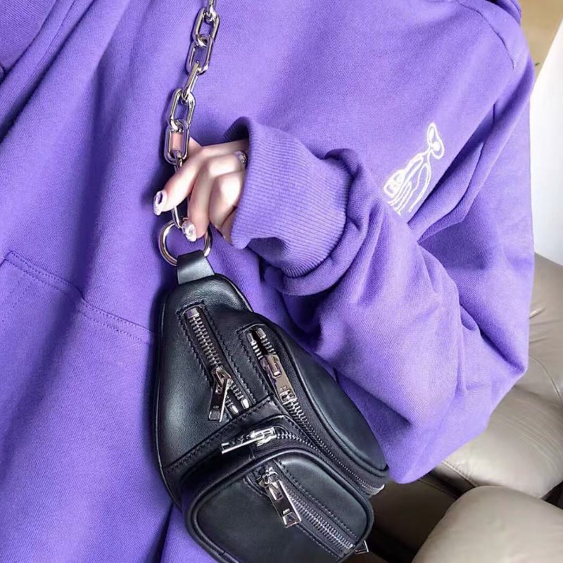 alexander wang 迷你腰包20*9cm 98新配件塵袋-0
