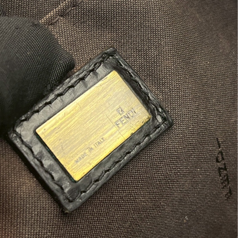 🏷️ Fendi Hobo-12