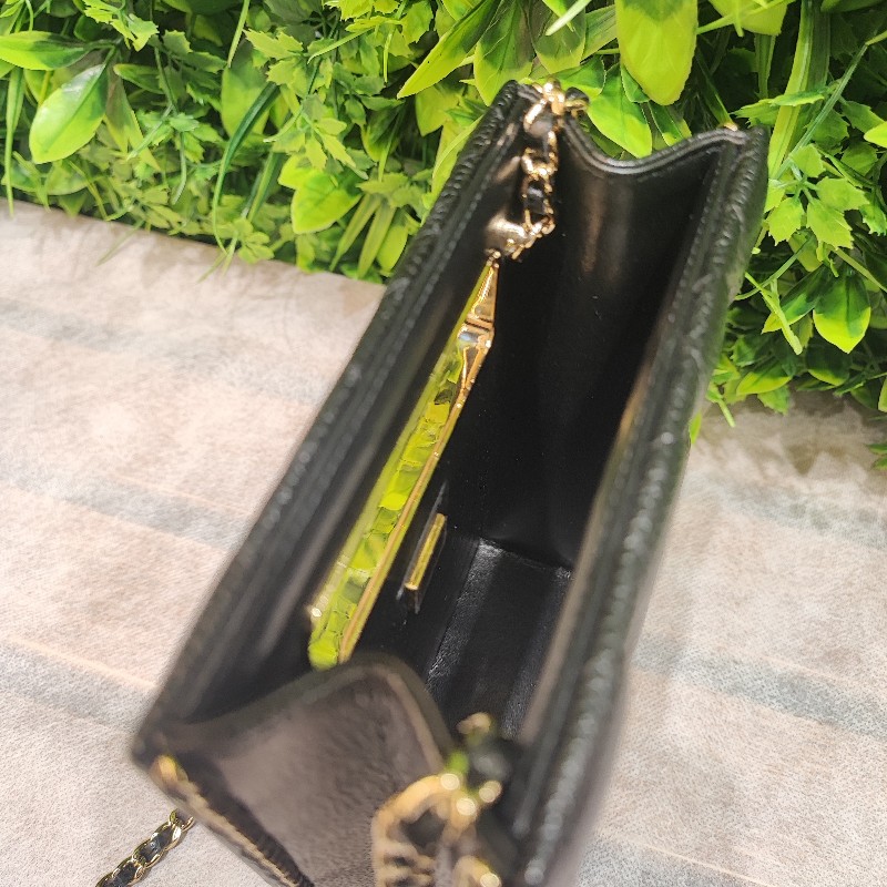 Chanel Evening Box Bag-11