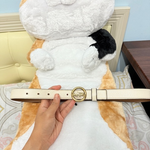 Coach經典馬車logo金銅色白色皮帶S號.29腰內均可