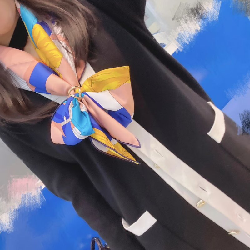 HERMES 三重奏絲巾環 90 - 銀-6