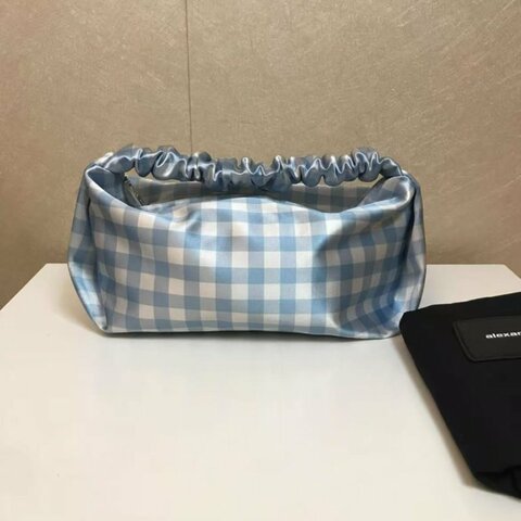 alexander wang Scrunchie Mini Bag 腋下手包鍛面手提包藍白格紋 21*1112 絕版全新 配件塵袋