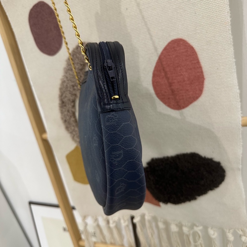 Dior Bag-6