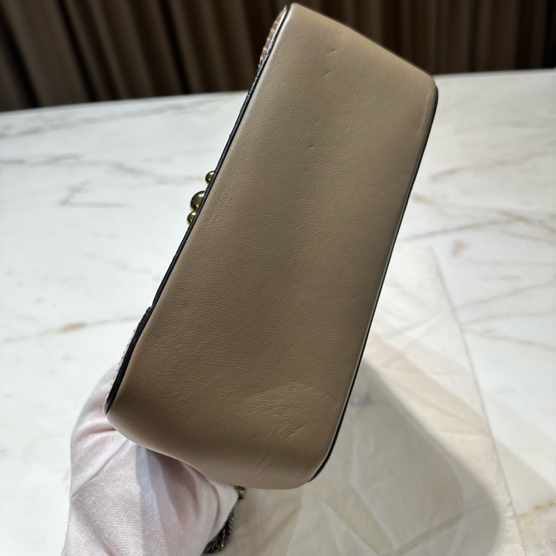 Chloé 蛇皮 金轉扣 手提 斜背包-6