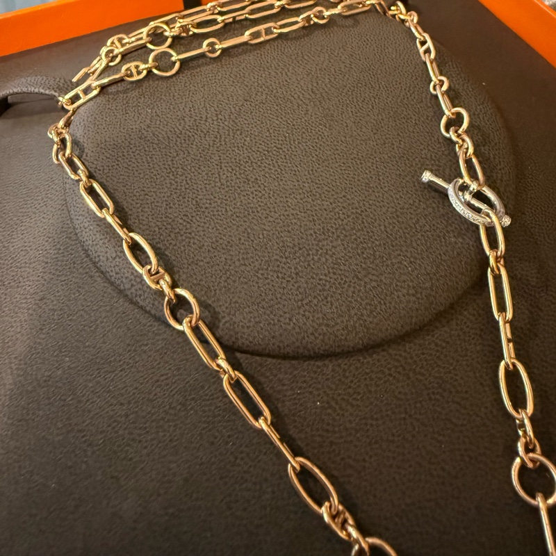 Hermes 高級珠寶系列 - Precieux Birkin 帶鑽長頸鏈-4