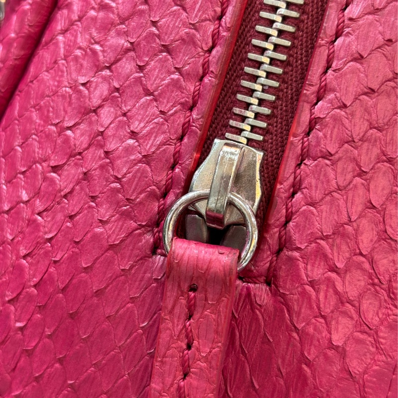 CHANEL 限量 櫻桃 紅 銀鍊 蛇皮 蟒蛇 手提包 肩背包 相機包 GST CAMERA-11