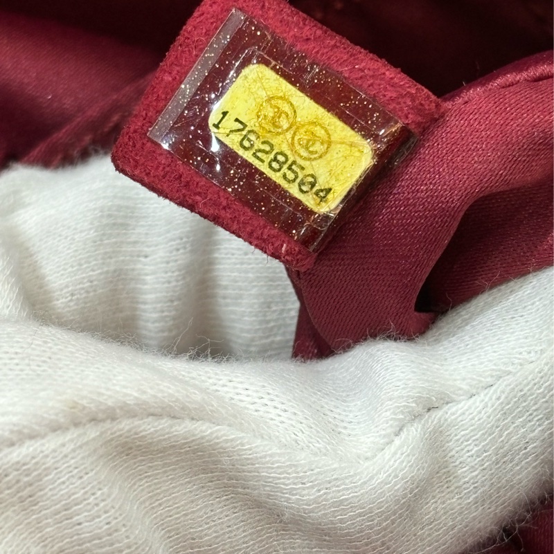 CHANEL 限量 櫻桃 紅 銀鍊 蛇皮 蟒蛇 手提包 肩背包 相機包 GST CAMERA-23