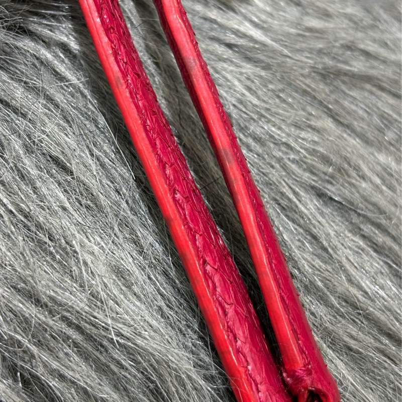 CHANEL 限量 櫻桃 紅 銀鍊 蛇皮 蟒蛇 手提包 肩背包 相機包 GST CAMERA-27
