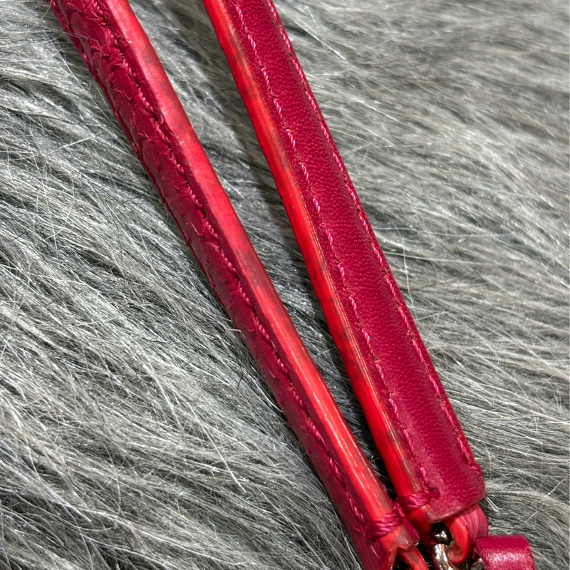 CHANEL 限量 櫻桃 紅 銀鍊 蛇皮 蟒蛇 手提包 肩背包 相機包 GST CAMERA-30