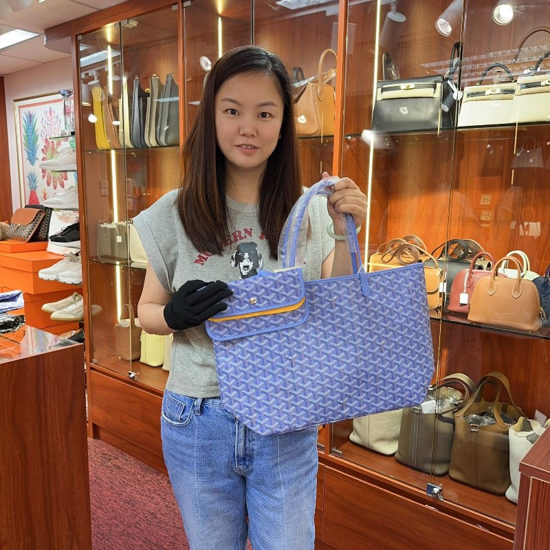 ✨持有香港正品正貨標籤(只做全新)✨ Goyard St Louis Pm size 特別版 紫藍色-1