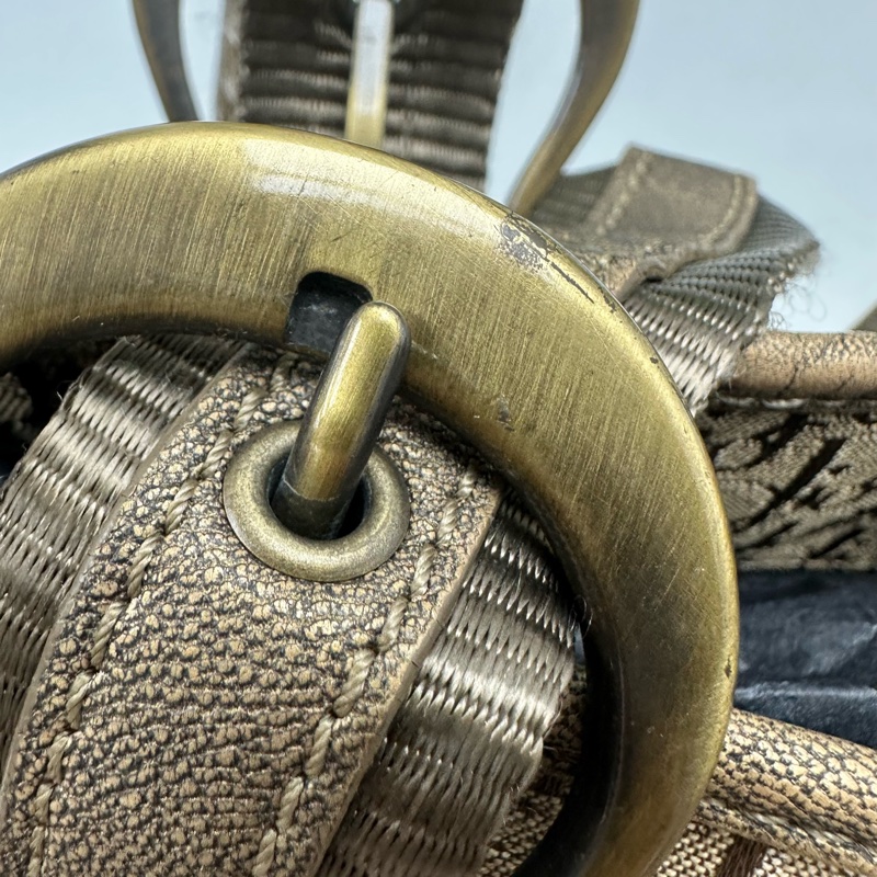 DIOR Trotter Vintage 杏色帆皮拼豹紋 單肩手提包-17