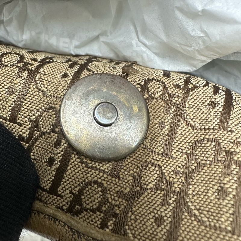 DIOR Trotter Vintage 杏色帆皮拼豹紋 單肩手提包-20