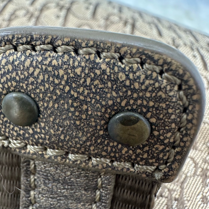 DIOR Trotter Vintage 杏色帆皮拼豹紋 單肩手提包-24