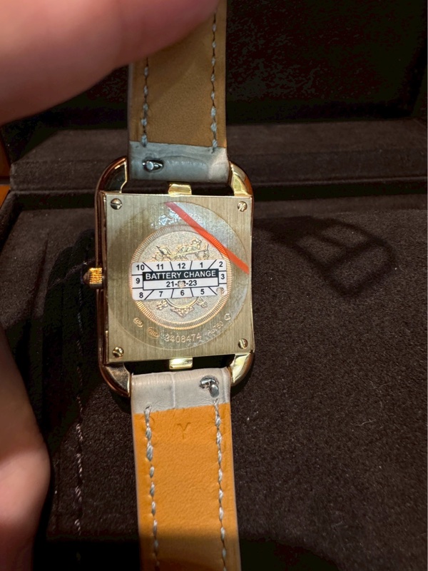 蛇皮錶帶 鑽錶-6