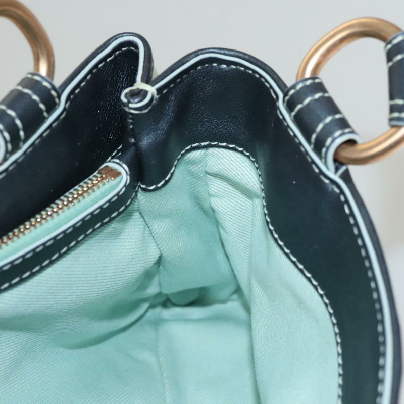 【日本直送】CELINE Paris Macadam 帆布手提包薄荷綠正品 BD1575AM-22