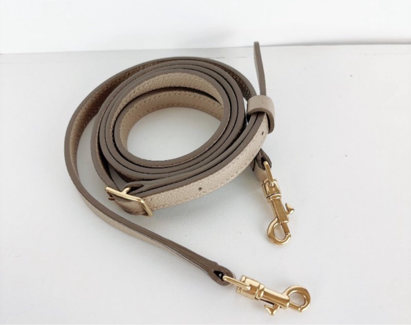 Celine灰色鯰魚包pico-4