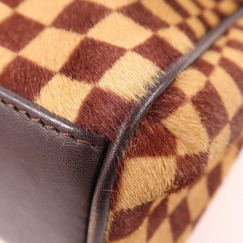 LOUIS VUITTON 【激減優惠】Damier Sauvage Lionne金扣手挽袋-5