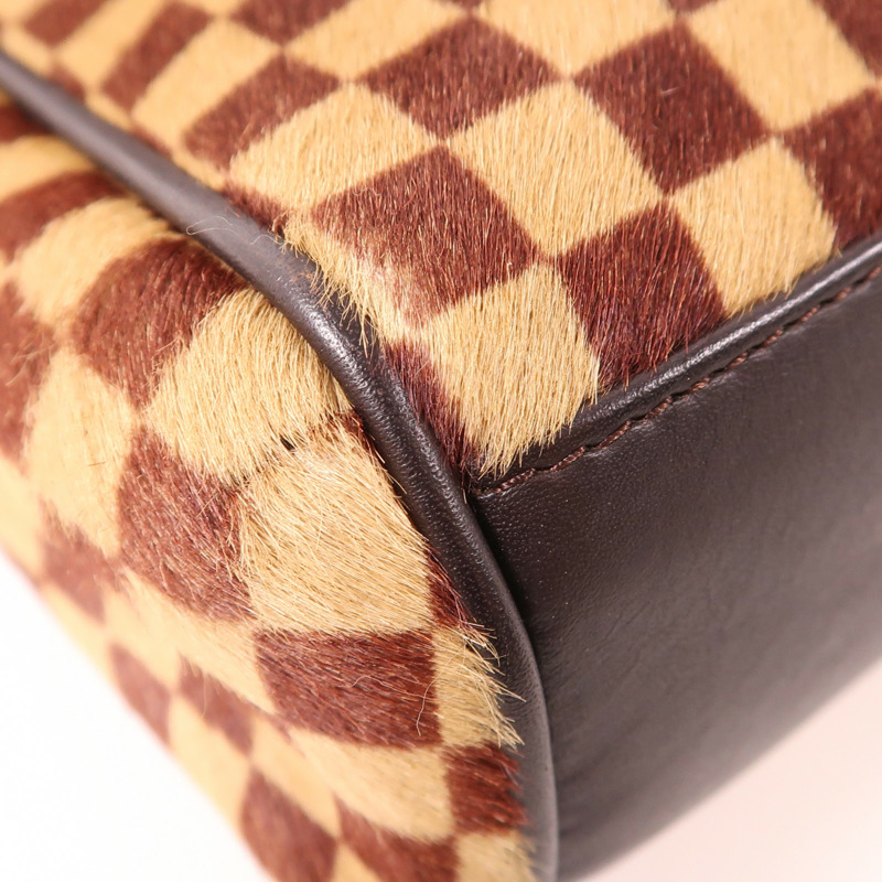 LOUIS VUITTON 【激減優惠】Damier Sauvage Lionne金扣手挽袋-6