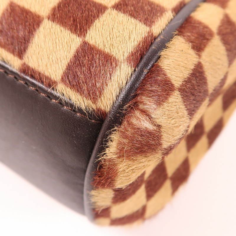 LOUIS VUITTON 【激減優惠】Damier Sauvage Lionne金扣手挽袋-7