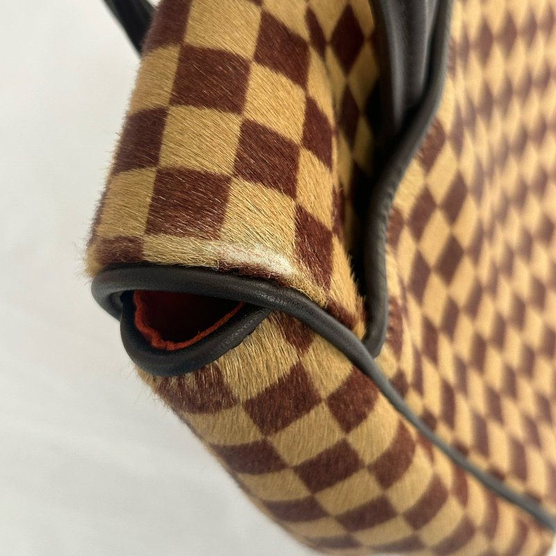 LOUIS VUITTON 【激減優惠】Damier Sauvage Lionne金扣手挽袋-19