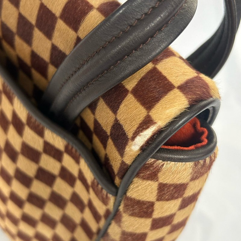 LOUIS VUITTON 【激減優惠】Damier Sauvage Lionne金扣手挽袋-20