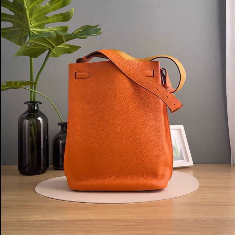 Hermes • So Kelly 26 愛馬仕橙 銀釦-3