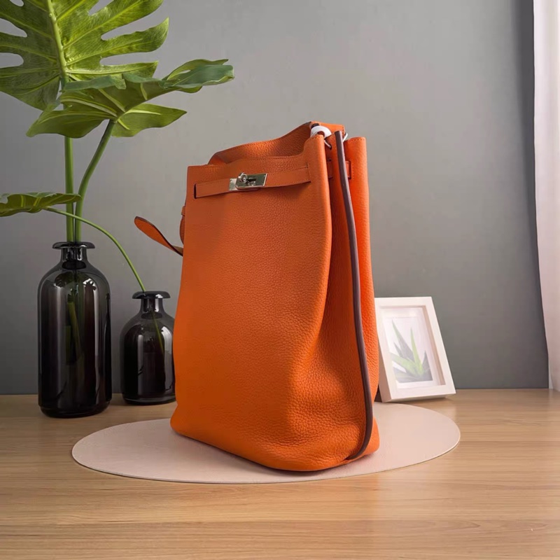 Hermes • So Kelly 26 愛馬仕橙 銀釦-4