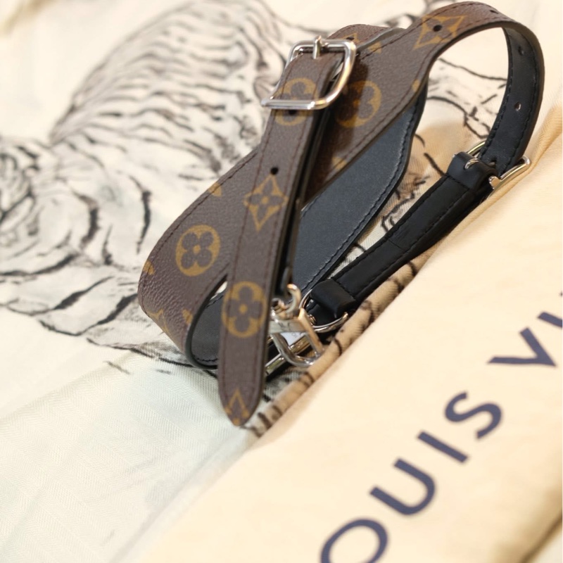 #全新閒置 #全配🈶購證 Lv Carryall pm黑武士單肩斜挎包小號 全網唯一黃金尺寸-38