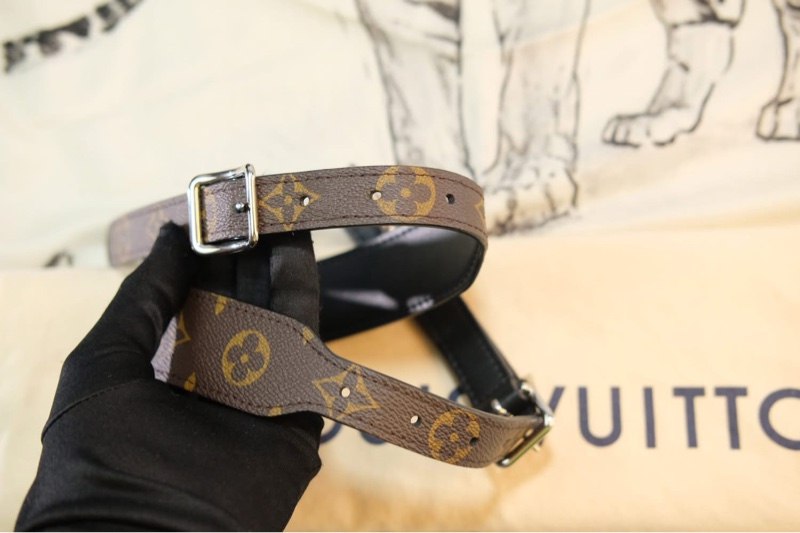 #全新閒置 #全配🈶購證 Lv Carryall pm黑武士單肩斜挎包小號 全網唯一黃金尺寸-41