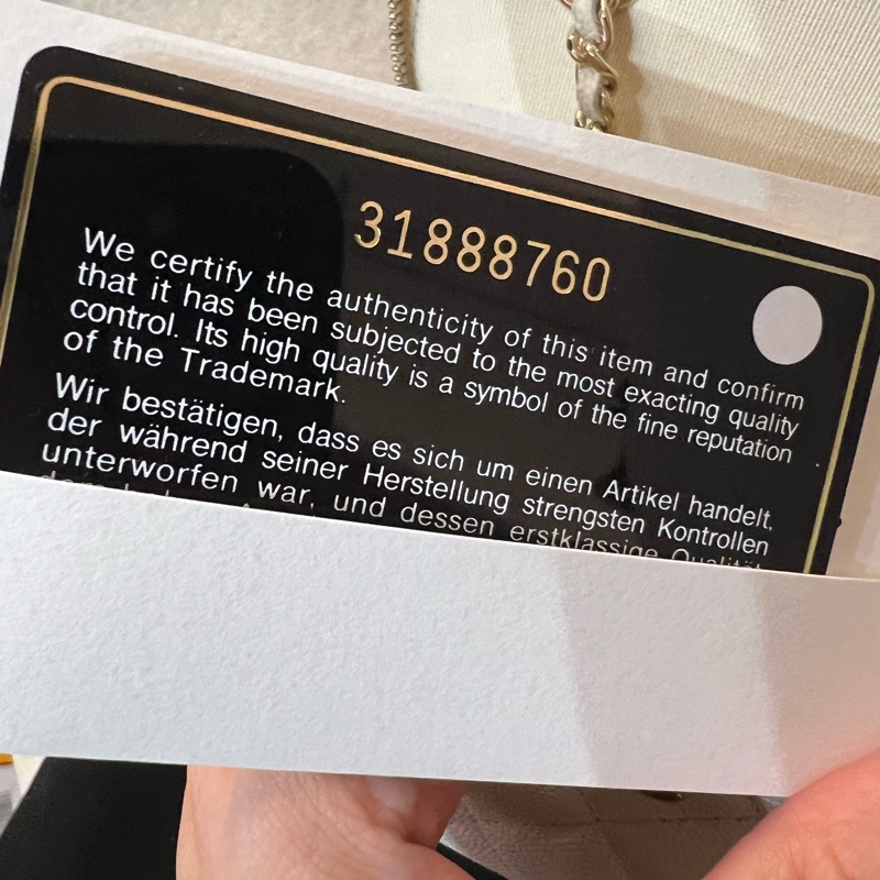 Chanel Vanity Case bag Irony White-9