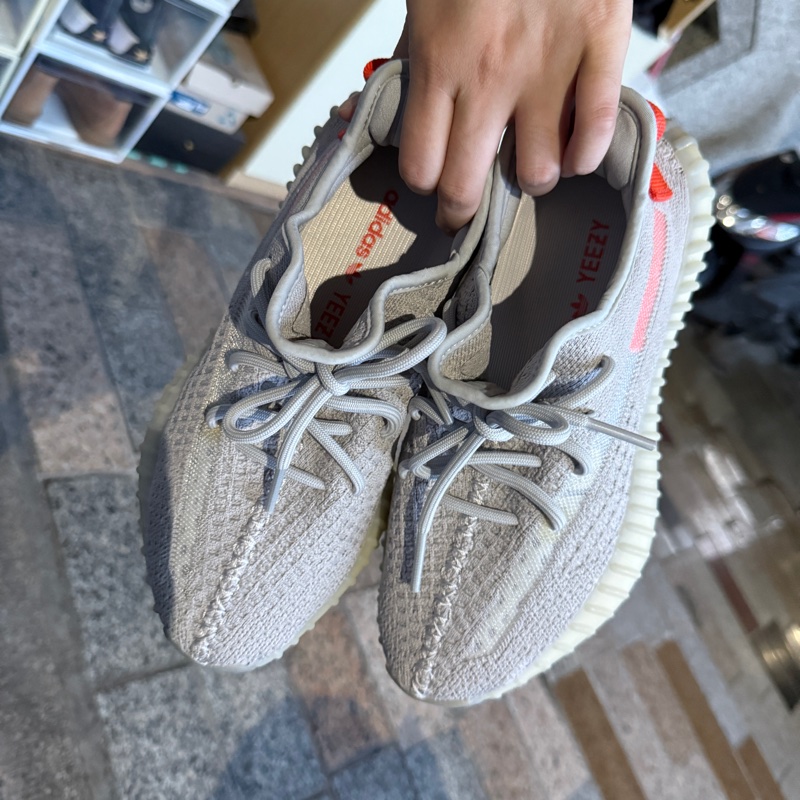 adidas yeezy boost 350 V2 稀有配色-5