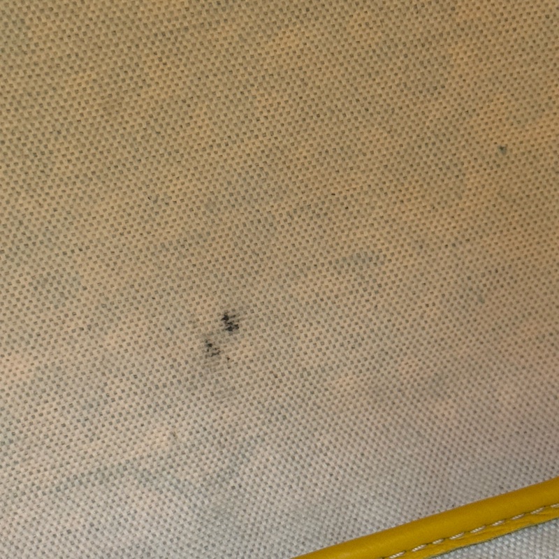 Goyard Saint- Louis Shoulder Bag-10