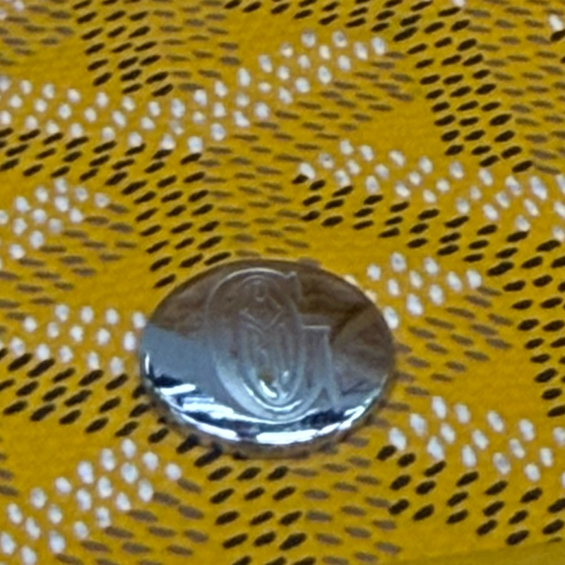 Goyard Saint- Louis Shoulder Bag-16