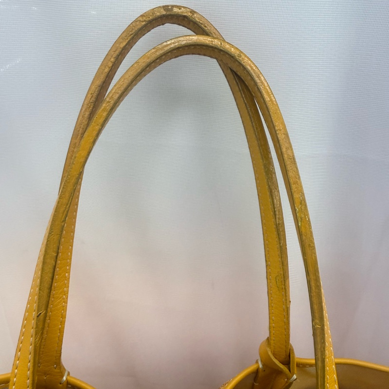 Goyard Saint- Louis Shoulder Bag-19