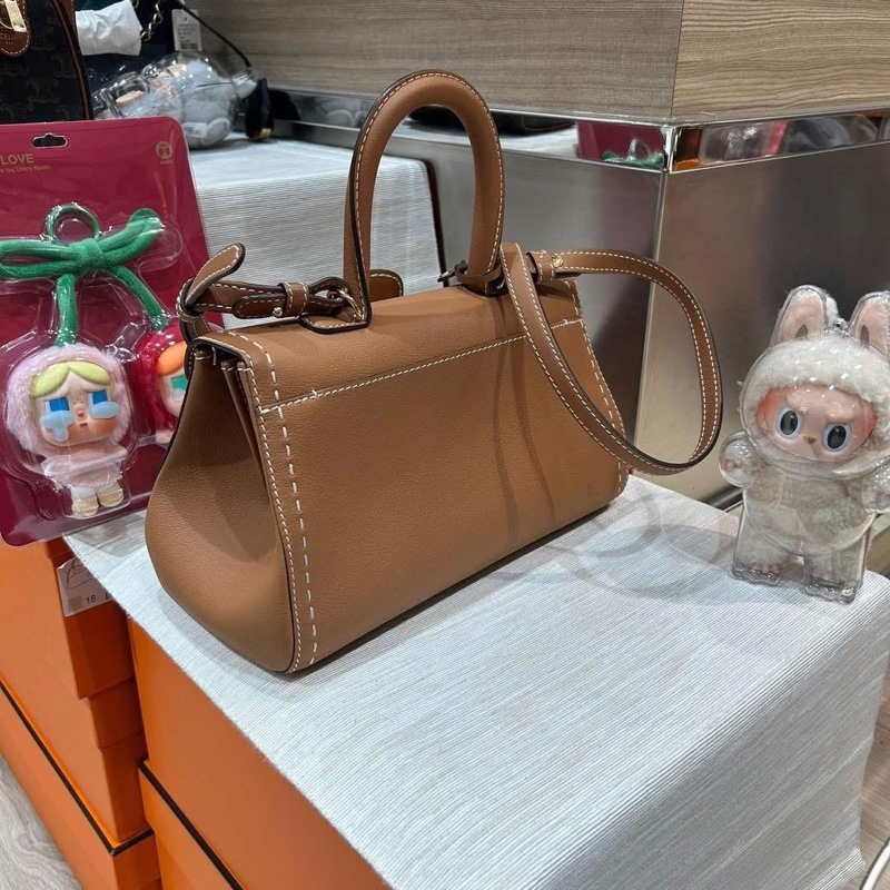 Delvaux Brilliant east west mini 焦糖色-4