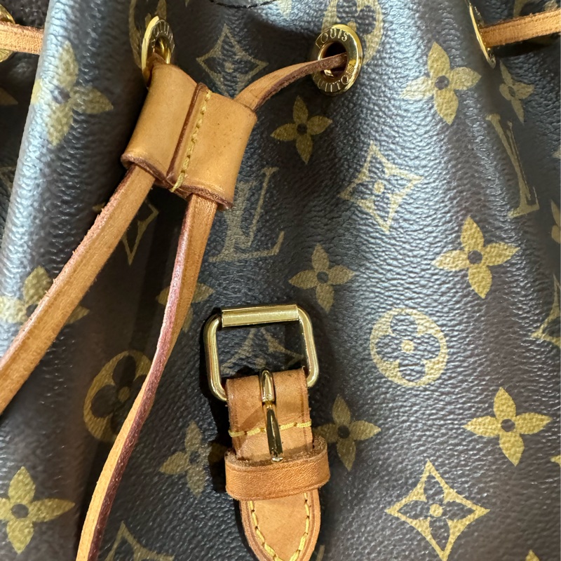 Louis Vuitton 後背包M43431-11