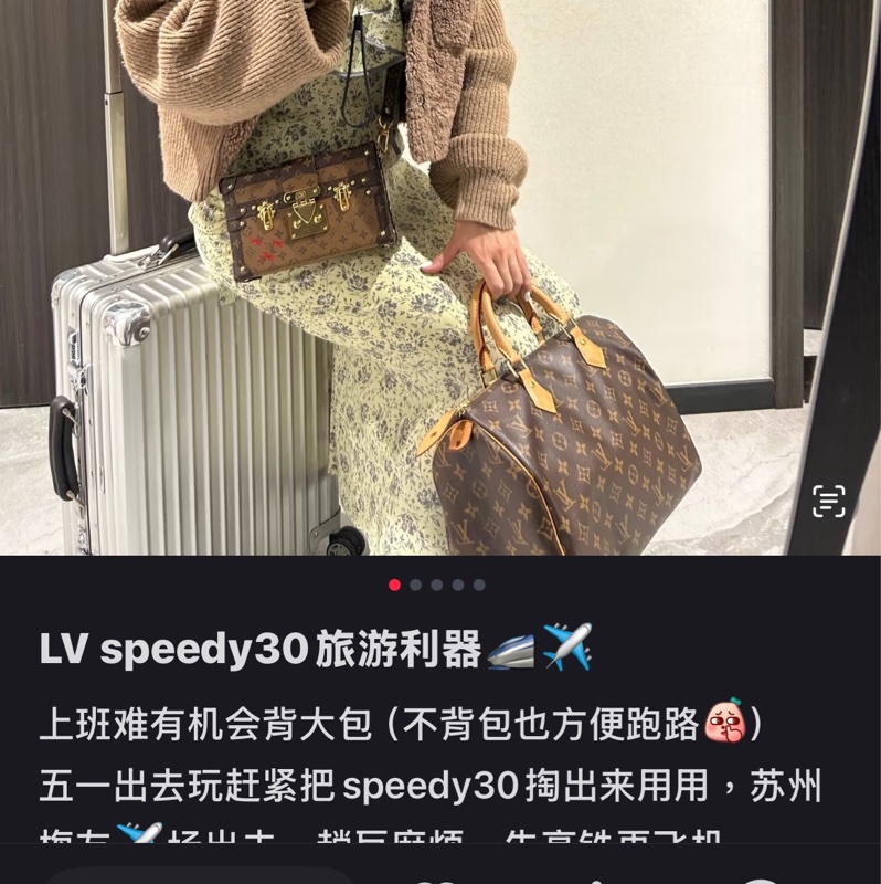 Lv speedy 30 老花枕頭包-6