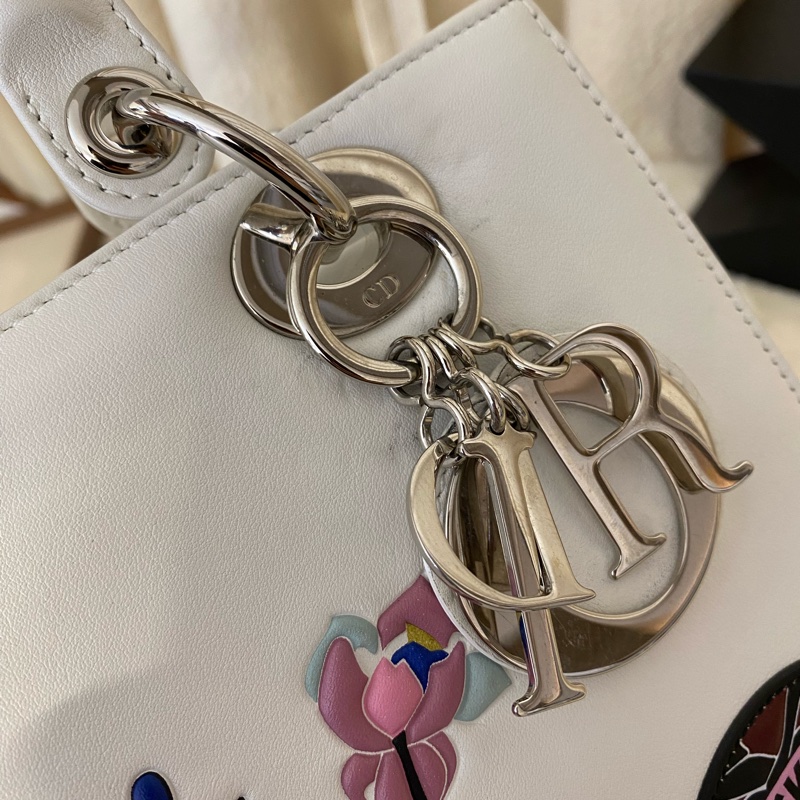 Dior 迪奥 戴妃五格刺綉限量款 拉鍊款 手提單肩-5