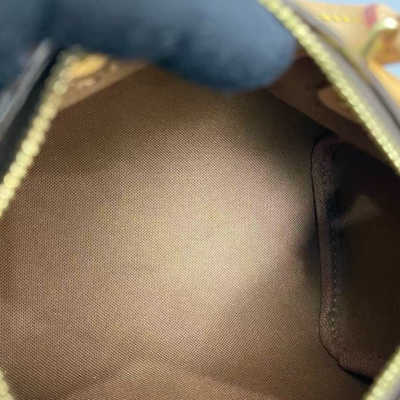 Louis Vuitton Speedy Nano 老花枕頭包-8