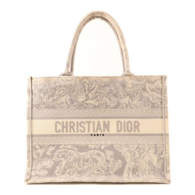 Dior 帆布Book Tote Medium手挽袋-0