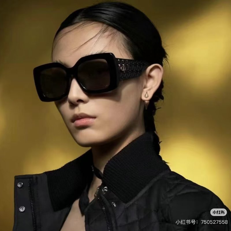 Dior 太陽眼鏡 VERYDIOR S1I 全新全配-0