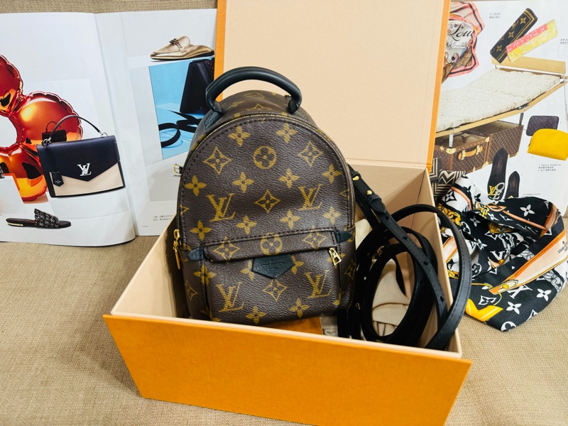 ✨售 二手真品 LV M44873 Palm Springs Mini 新版拉鏈 小書包 後背包-0