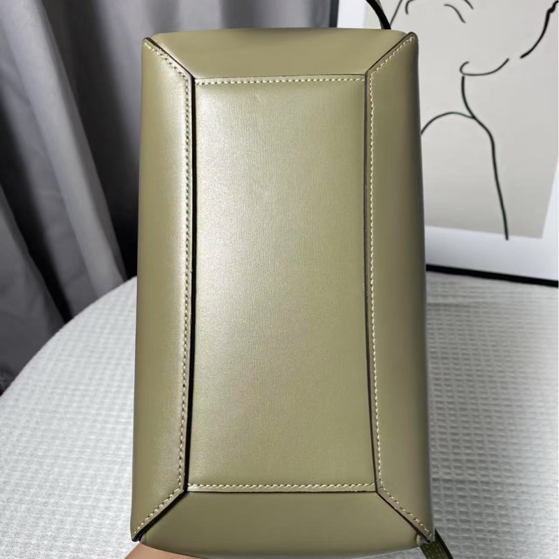 Celine mini belt bag 鯰魚包 大號-7