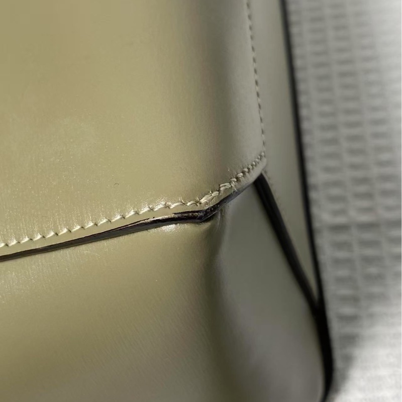 Celine mini belt bag 鯰魚包 大號-8