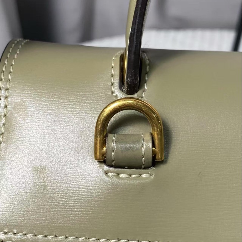 Celine mini belt bag 鯰魚包 大號-16