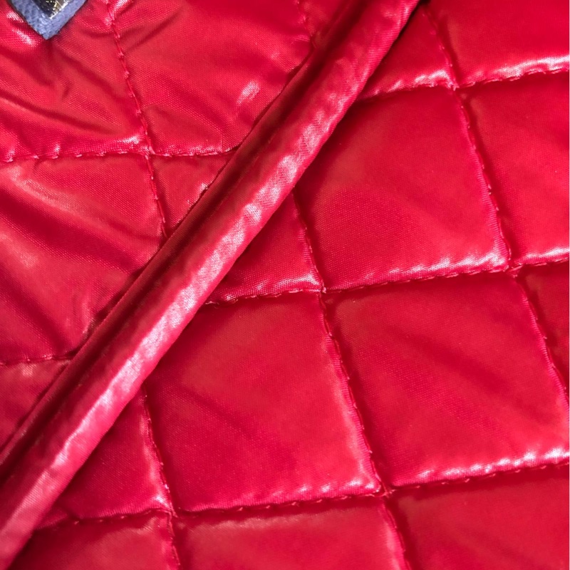 Chanel尼龍2012 Christmas Laptop筆記本型電腦包-5