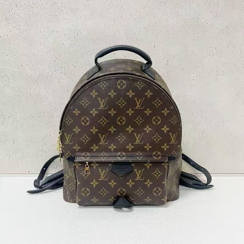 Louis Vuitton Palm Springs backpack medium-4