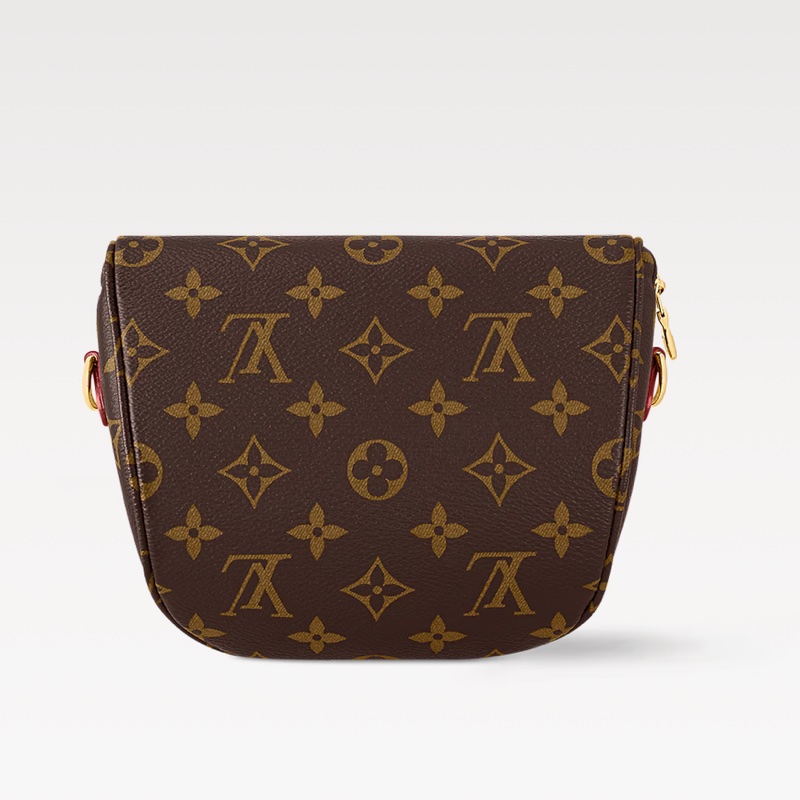 LV minibumbag monogram 迷你腰包-3